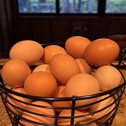 Pasture-raised Chicken Eggs