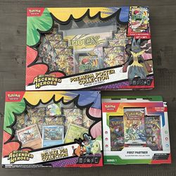 Pokemon Ascended Heroes