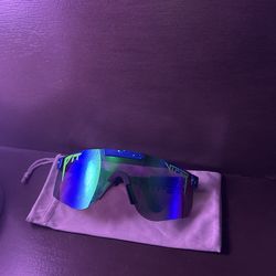PIT VIPERS