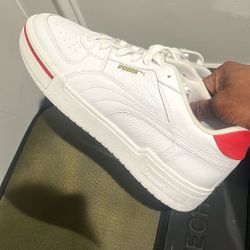 Puma’s 