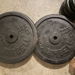 100 lbs Weight Plates (Pair of 50s)