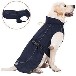 Dog Raincoat Xl
