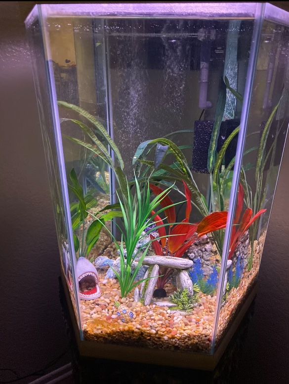 Fish Tank W/ Accessories And Filter