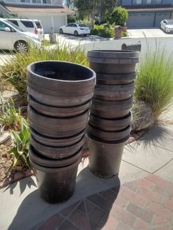 Plant  pots
