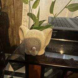 Elephant Pot