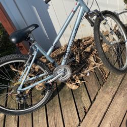 Diamondback Lustre 1