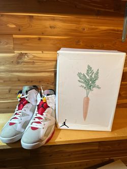 Air Jordan 6 Retro Hare