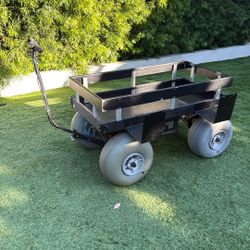 Electric Beach Wagon