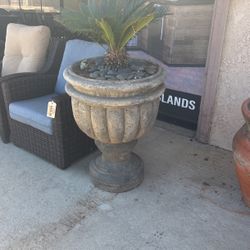 Pot Planter 