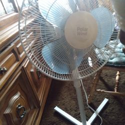  Fan