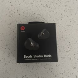 Beat Studio Ear Buds