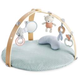 Play Mat And Activity Gym 