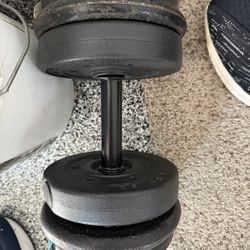 20 Pound Dumbbell 