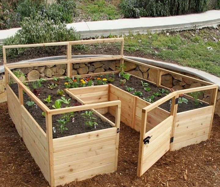 Gardening Solution