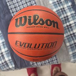 Wilson Evo Basketball