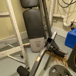 Weight Bench