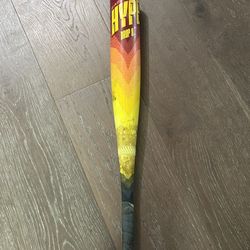 Hype Fire Baseball Bat