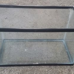 Fish Tank