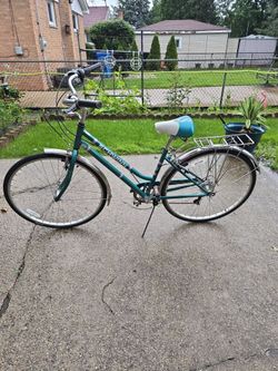 Adult Bike 28in
