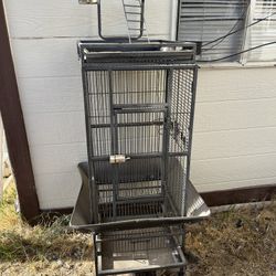 Bird Cage 