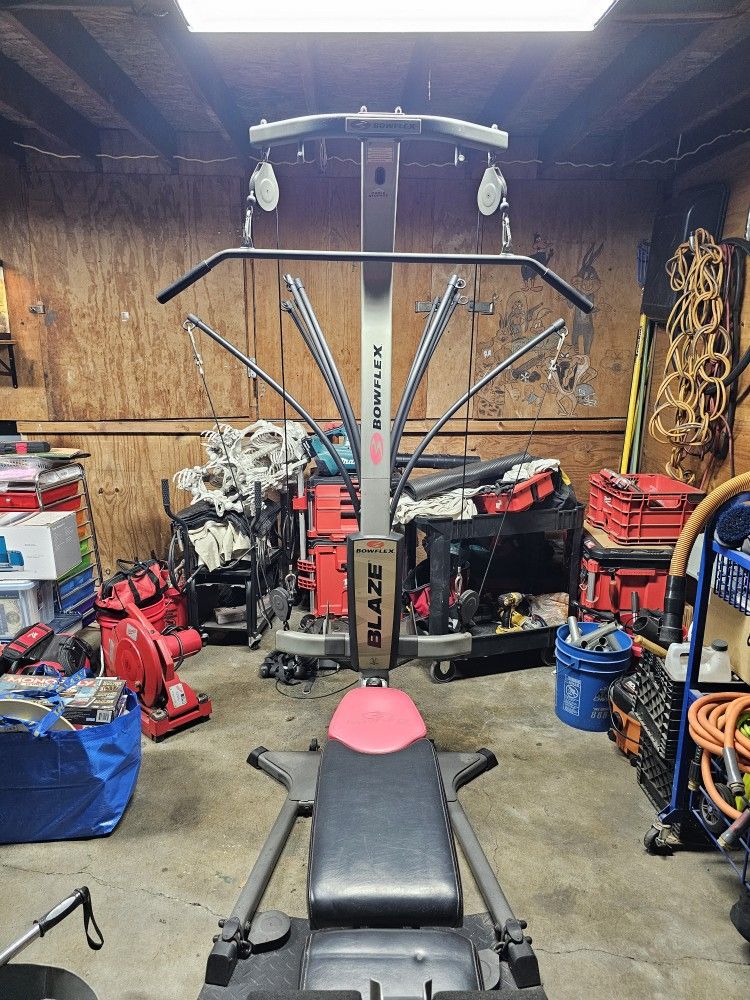 Bowflex Blaze 