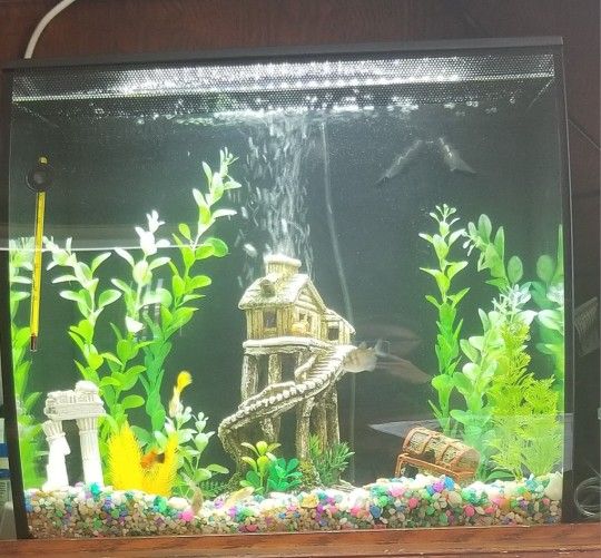 3 Fish Tank Lots Included 