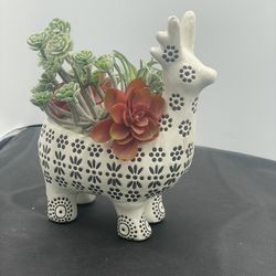 Pier One Reindeer Planter
