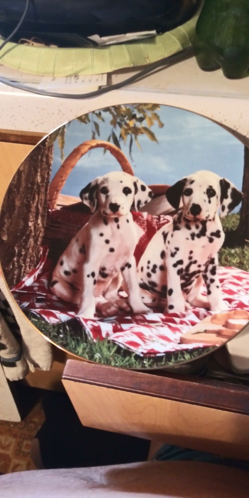 Dalmatian puppies plate