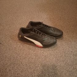 Pumas 