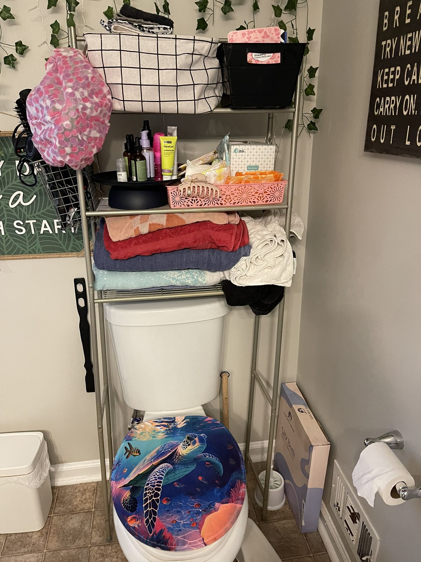 Toilet Rack