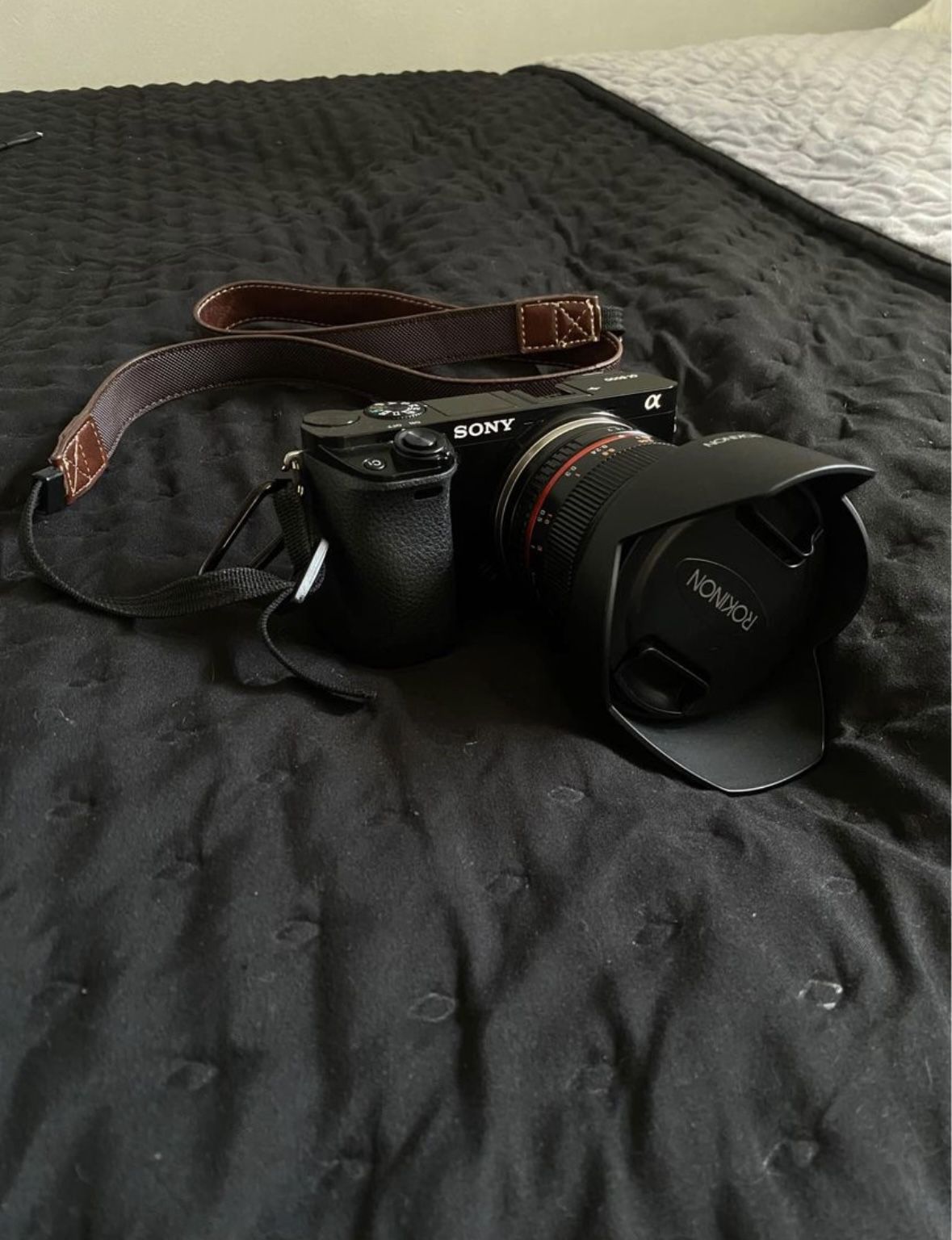 Sony A600 and Accessories