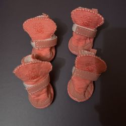 Small dog shoes/boots size 3