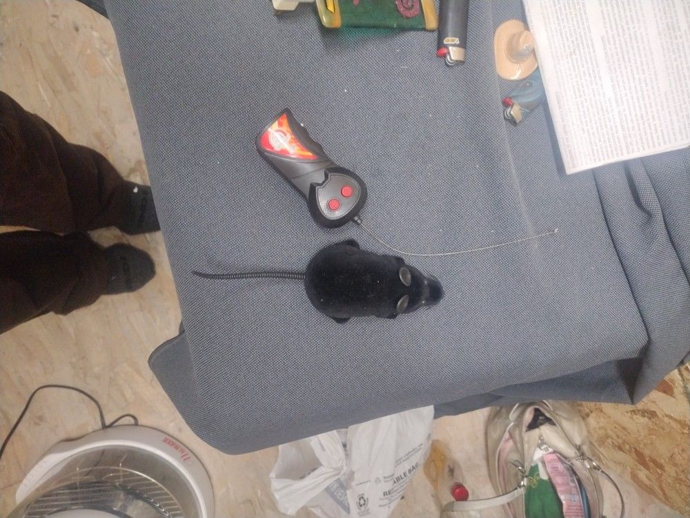 Remote Control Rat