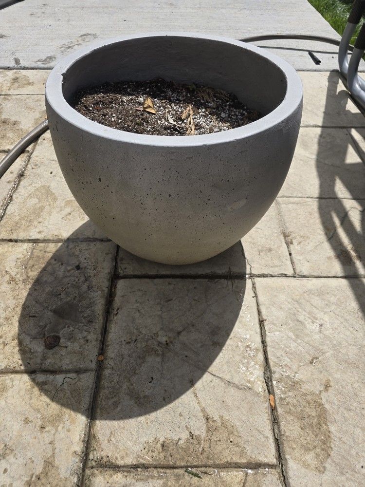 Flower Pot