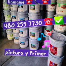 Paint For Sale And Primer 