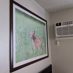 Picture Wall Hanging 