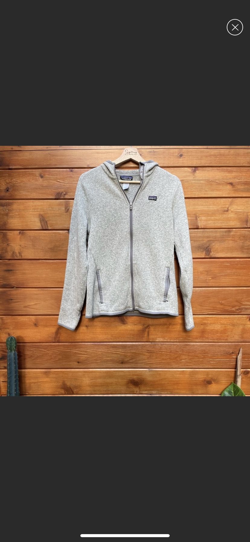 Patagonia Hooded Better Sweater