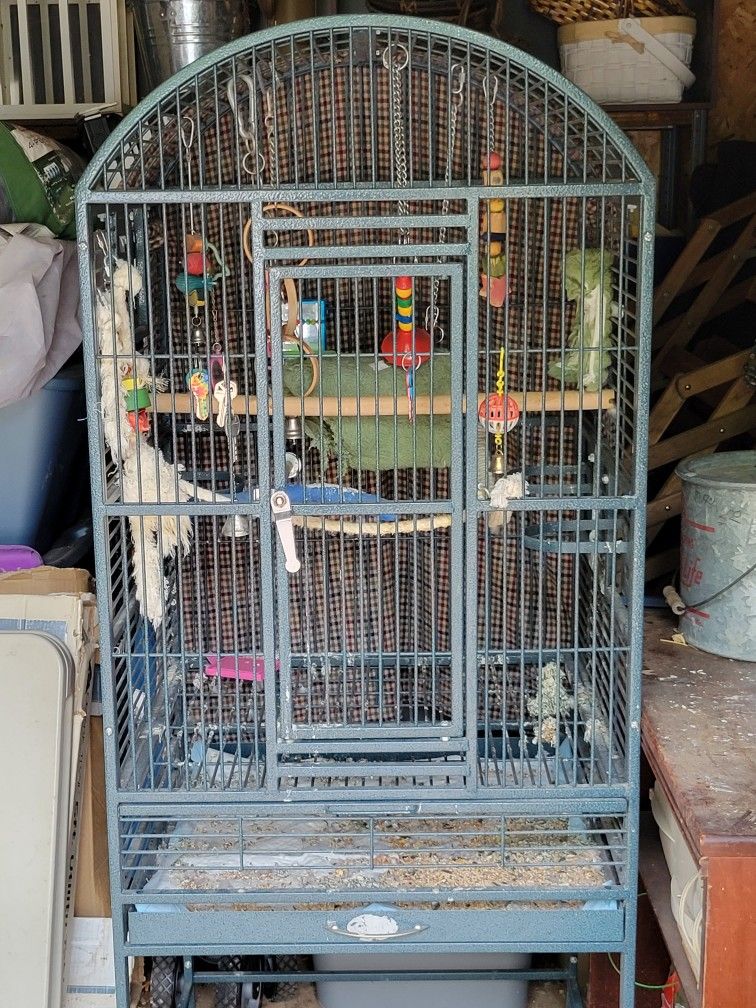 Large Bird Cage