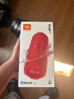 JBL speaker flip 7