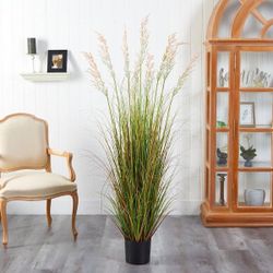 5.5 ft. Plume Grass Artificial Plant 5 Available 