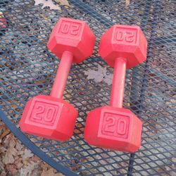 20 Lb Dumbbells