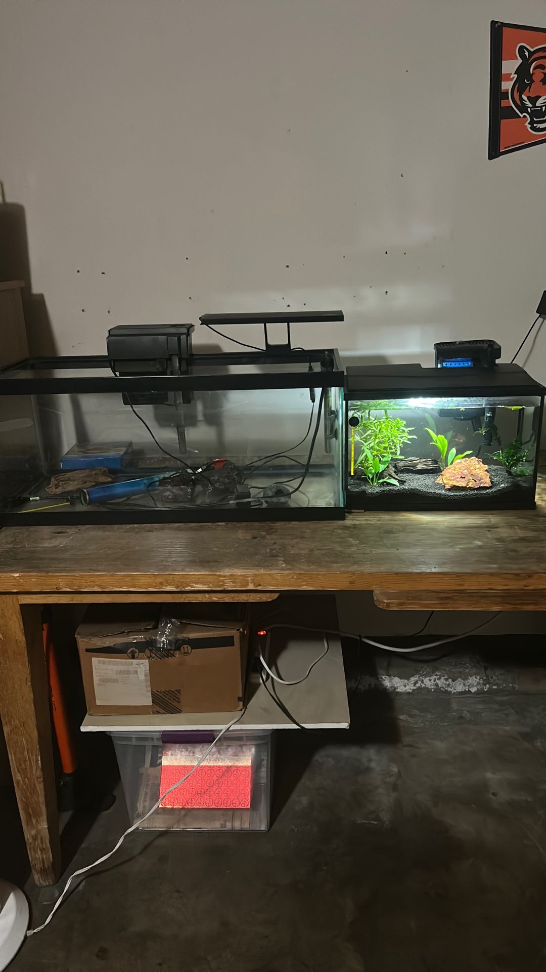 20 Gallon And 5 Gallon Fish Tank