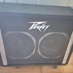 Peavy Guitar Speaker Cabinet