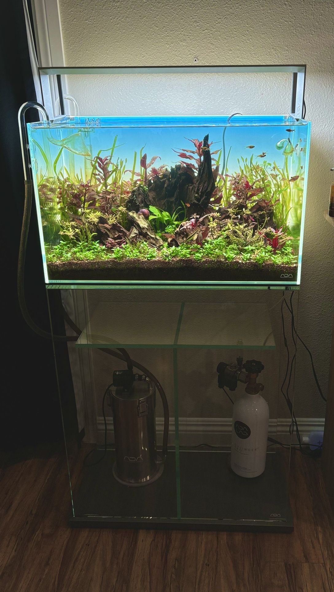 Fish Tank