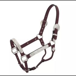 JT International Royal King Silver Dark Oil Leather Western Show Horse Halter