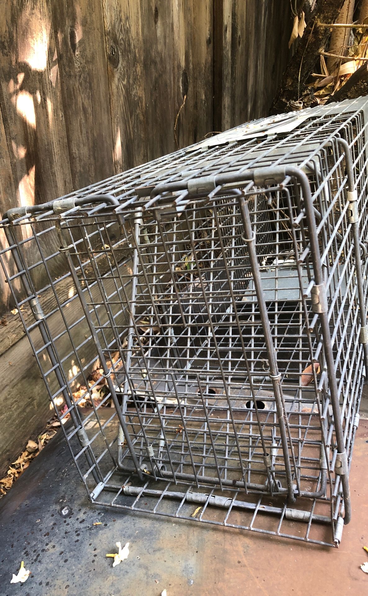 Animal trapping cage