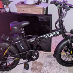 EUY Electric Bike – Fat Tire Folding eBike
