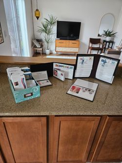 Large First Edition Stamp Collection (Over 300 stamps)