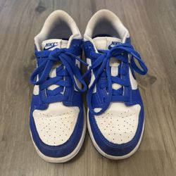 Kids Nike Dunk 