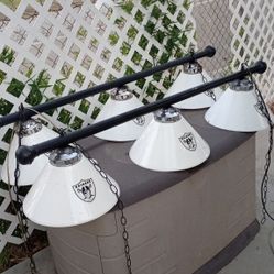 2 Overhead Raider Nation Bar Lights / Garage Lights Or Overhead Pool Lights